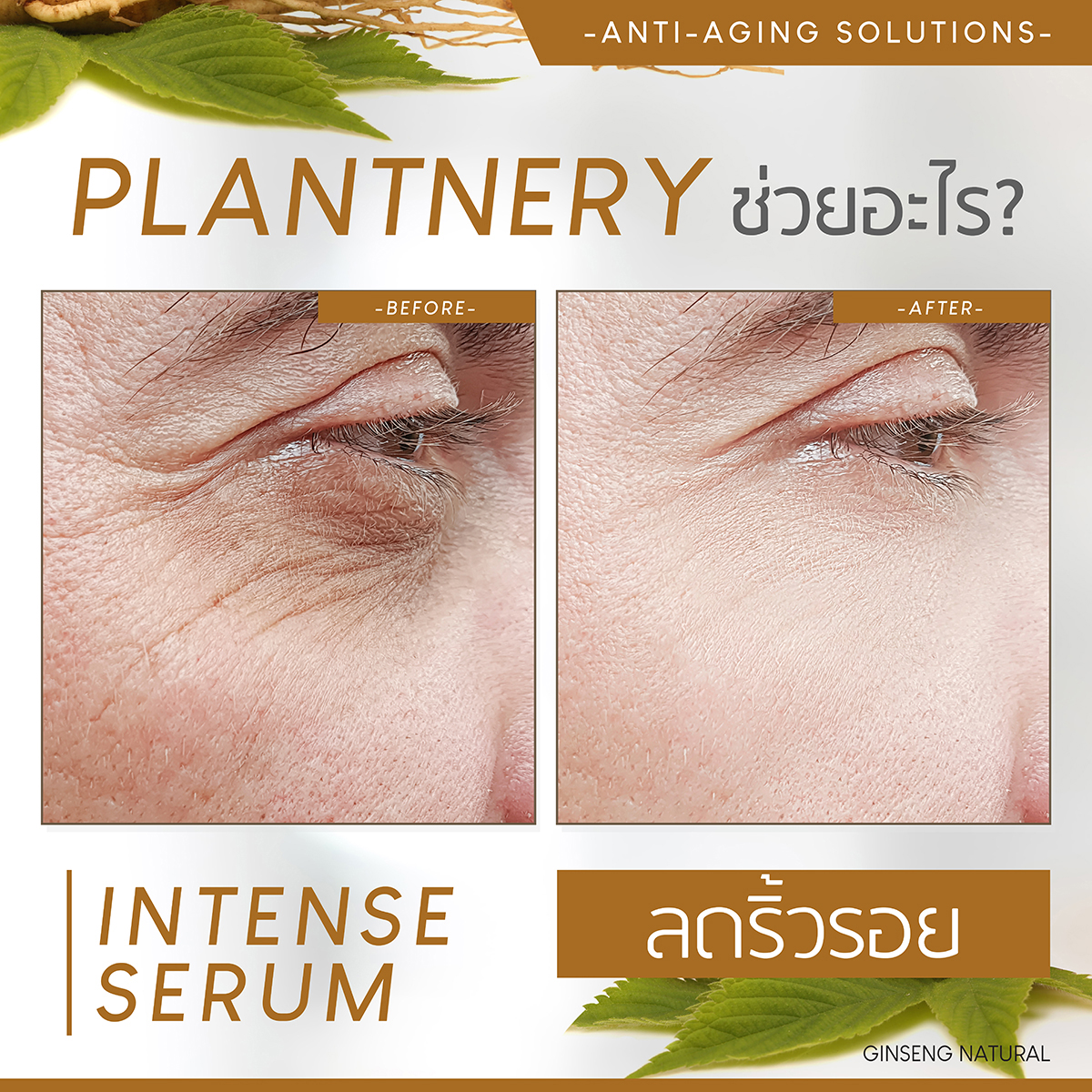 Plantnery Ginseng Facial Serum ปริมาณ 30ml